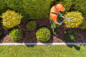 Why Hire Professional Services for Garden Maintenance Dallas