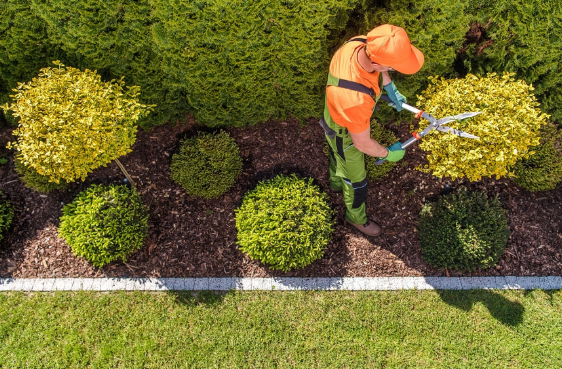 Why Hire Professional Services for Garden Maintenance Dallas