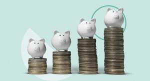 Credit Union Savings Account vs Bank Savings Account: What Should You Know?